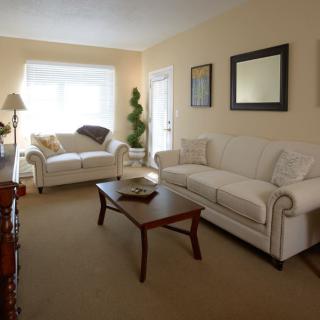 A cozy living room with two sofas, a coffee table, and decorative elements.