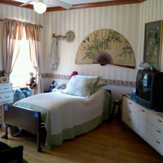 A cozy bedroom featuring a hospital bed with decorative pillows, a large fan wall art above the bed, and a television on a cabinet.