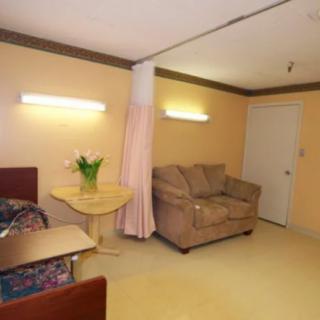 A hospital room with a sofa, curtain divider, and a table with a vase of flowers.