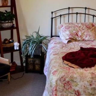 A cozy bedroom with floral bedding and potted plants.
