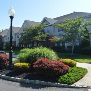 A well-landscaped suburban residential area with neatly trimmed bushes and a street lamp.