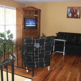 A cozy living room with wooden flooring, featuring a television, sofas, and an indoor plant.