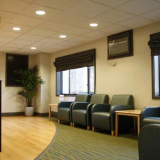 An empty waiting room with chairs and windows, featuring a potted plant and warm lighting.