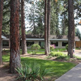 A serene view of a house surrounded by tall trees and well-maintained garden.