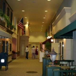 An indoor hallway with shops, decorated with a flag and ceiling lights, where people are walking.