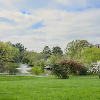 A scenic view of a lush park with a fountain and blooming trees, under a partly cloudy sky.