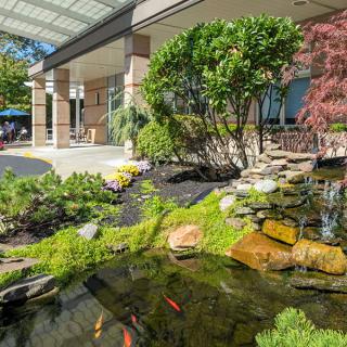 A tranquil garden scene featuring a pond with koi fish and lush landscaping beside a building.