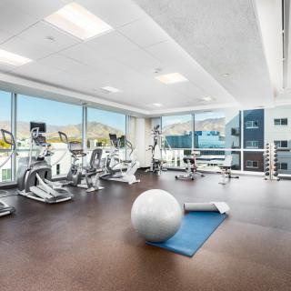 A modern gym with exercise equipment including treadmills, stationary bikes, weights, a yoga mat, and an exercise ball.