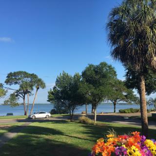 A scenic view of a park by the lake with lush trees and colorful flowers.