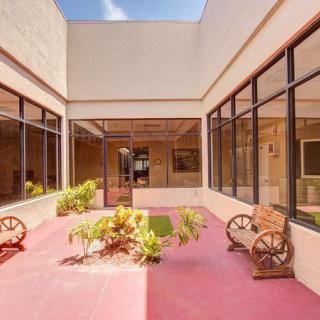 A serene courtyard with plants, surrounded by large windows and architectural features.