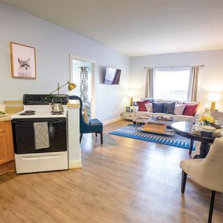 A cozy apartment featuring an open living room and kitchen with modern decor.