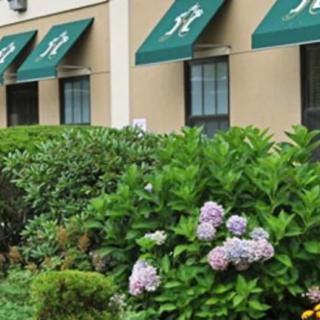 A building facade with green awnings and landscaped bushes and blooming flowers.
