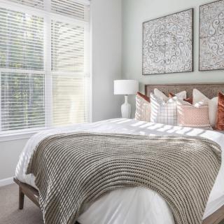 A modern bedroom interior with a neatly made bed, decorative pillows, and ample natural light streaming through the window.