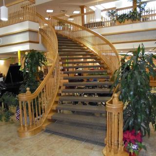 A beautifully designed wooden curved staircase in a spacious and well-lit interior, adorned with plants.