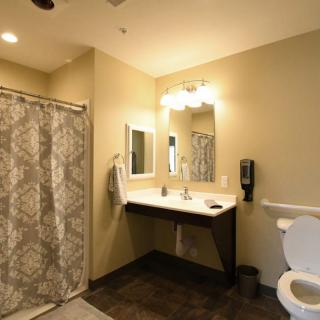 A modern, accessible bathroom with a shower, sink, and toilet.