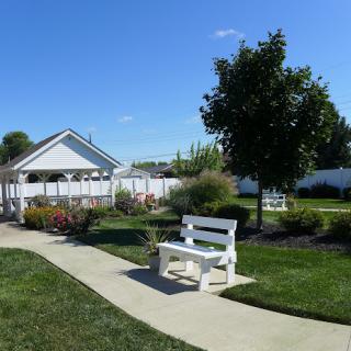 A serene park setting featuring a white bench along a winding pathway surrounded by vibrant greenery and colorful flowers under a clear blue sky.