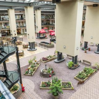 A spacious indoor atrium featuring plants and modern architectural design.