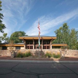 A public library with a flagpole in front, surrounded by trees and set against a clear blue sky.