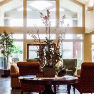 A cozy living room with large windows, comfortable furniture, and indoor plants.