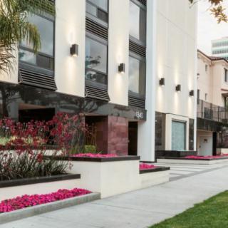 A modern building with landscaped surroundings and a well-maintained sidewalk.