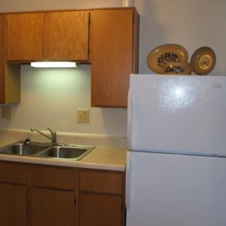 A small kitchen featuring wooden cabinets, a white refrigerator, and a dual sink with overhead lighting.