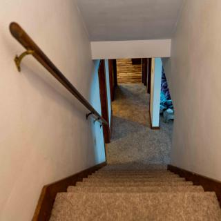 A view down a carpeted staircase with a handrail leading to a lower hallway.