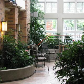 A tranquil indoor garden space with abundant greenery and natural light filtering through large windows.