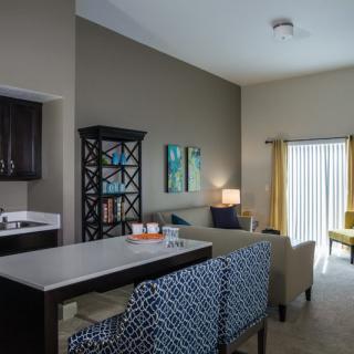 A modern and cozy living room with an open kitchen area, featuring contemporary furniture and decor.