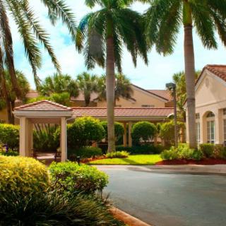 A sunny view of a building surrounded by palm trees and well-maintained landscaping.