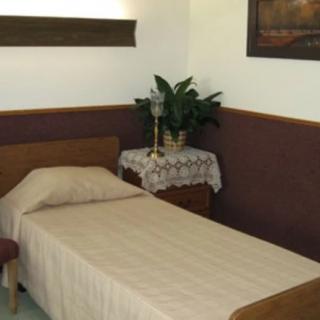 A minimalist bedroom with a single bed, beige bedding, and a potted plant on the nightstand.