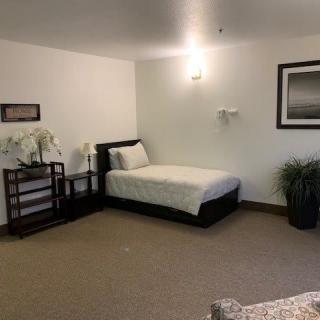A minimalistic bedroom with a single bed and simple decor.