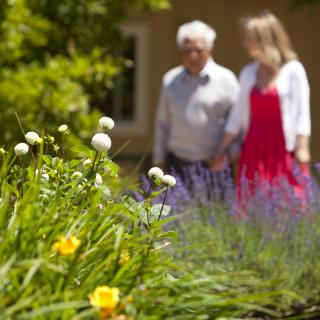A couple holding hands while walking in a garden filled with blooming flowers.