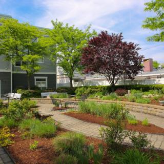 A landscaped garden with a pathway, benches, and various trees and plants.