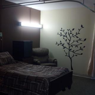A cozy bedroom featuring a bed, sofa, and a decorative tree mural.