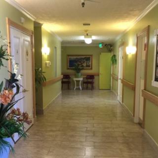 A well-lit hallway with plants and artwork on the walls.