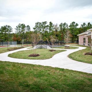A serene outdoor space featuring curved pathways, trimmed lawns, and young trees.