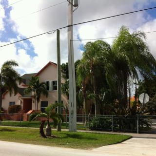 A suburban house surrounded by palm trees on a sunny day.