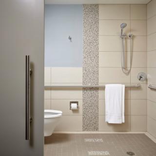 A modern and accessible bathroom with a shower, toilet, and grab bars.