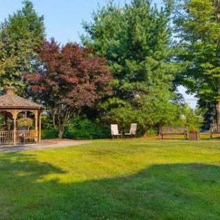 A serene outdoor garden featuring a gazebo surrounded by lush greenery.