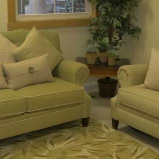 A cozy living room featuring a green sofa set, decorative cushions, an indoor plant, and a patterned rug.