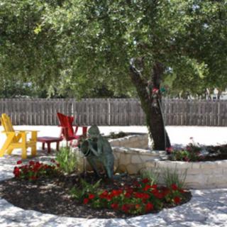 A tranquil garden setting with colorful chairs under a tree.
