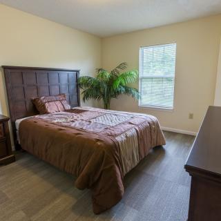 A cozy bedroom with a neatly made bed, a large plant, and ample natural light from the window.