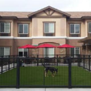 A residential building with a fenced yard and red umbrellas, featuring a dog on the lawn.