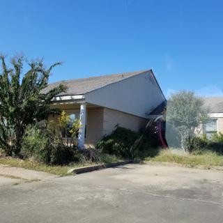 A neglected house surrounded by overgrown vegetation under a clear blue sky.