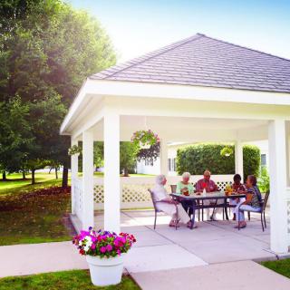 A group of people enjoying a gathering in a gazebo surrounded by trees.