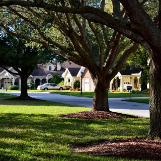 A peaceful suburban neighborhood with tree-lined streets and well-kept lawns.