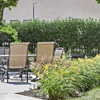 A peaceful outdoor patio area featuring chairs and lush garden greenery.