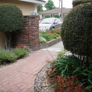 A well-maintained front yard with a brick pathway and neatly trimmed bushes leading to the driveway.