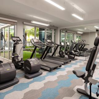 A modern gym featuring multiple treadmills and exercise equipment.