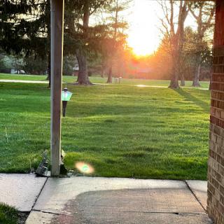 A serene view of the sunset through a grassy area framed by trees.